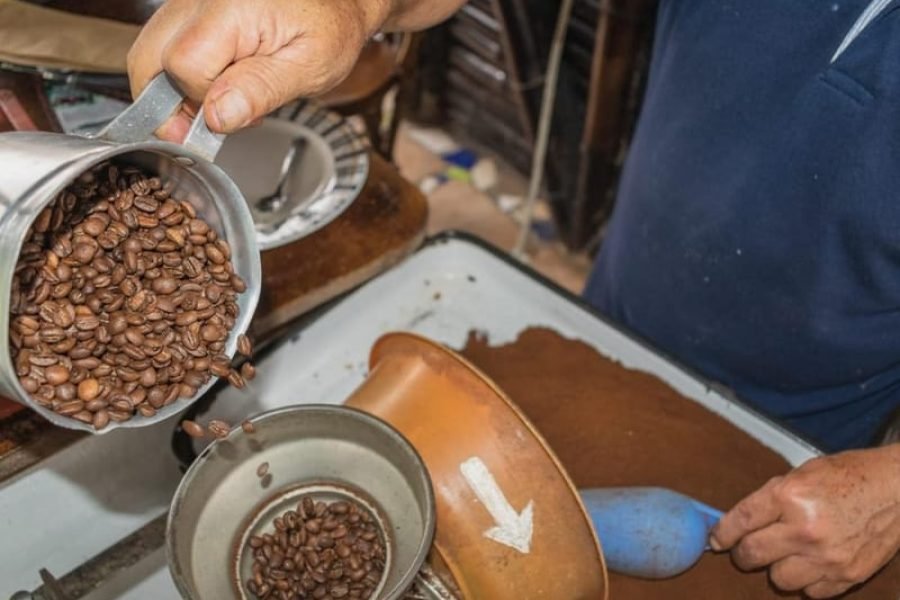 Local Community Organic Coffee Plantation Tour