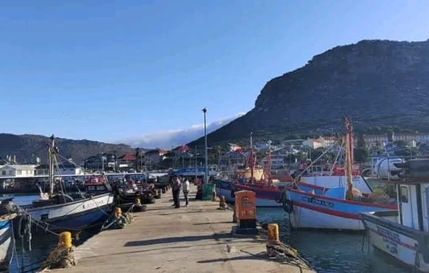 Coastline Seafood Tour – Cape Town