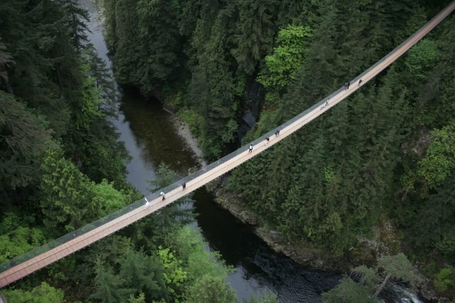 Private Vancouver City Tour with Stanley Park, Grouse Mountain & Capilano Suspension Bridge
